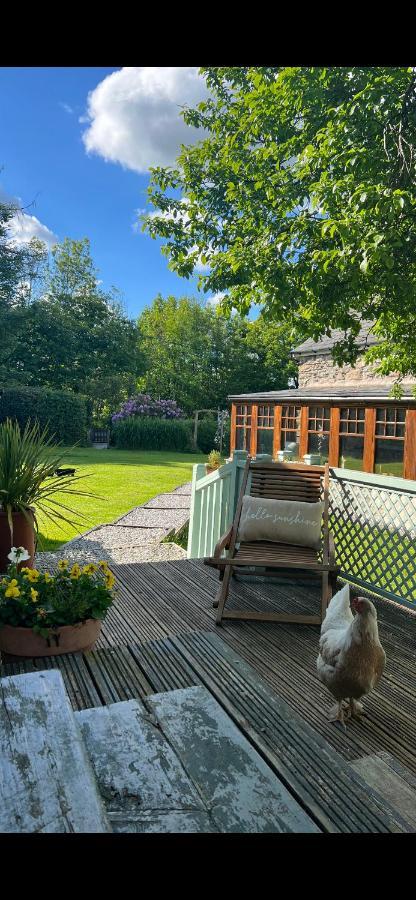 Vila New, Modern 2 Bed Cabin In Rural North Wales Clocaenog Exteriér fotografie